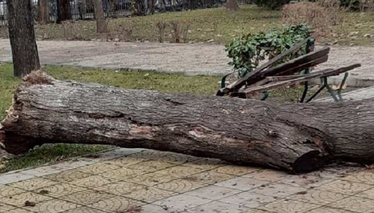 Под ръководството на Окръжна прокуратура – Монтана се води разследване по образувано досъдебно производство за извършено престъпление