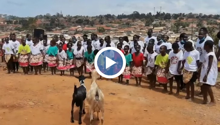 Там звучи български фолклор, а африканските деца танцуват български хора