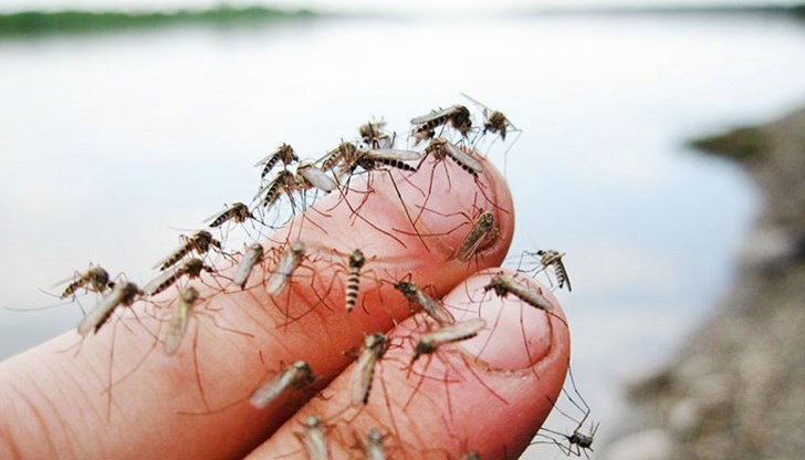 Поради неподходящи метеорологични условия, третирането срещу комари тази седмица се отлага
