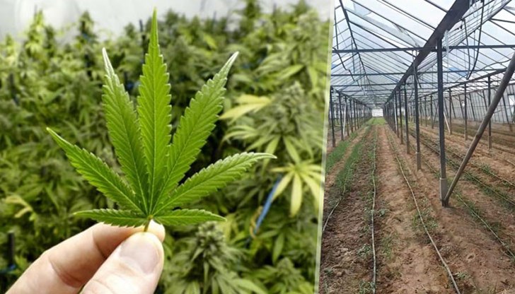 Полицейска акция на служители от Второ РУ - Благоевград