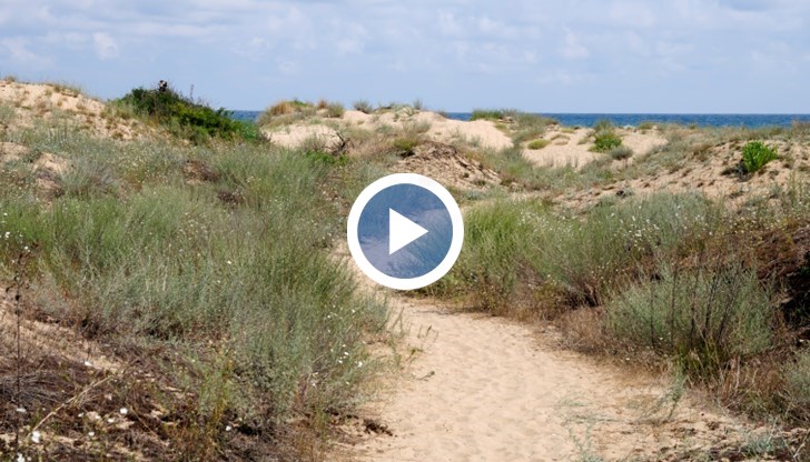 До тук се стигна след гонки с АТВ-та по плажовете