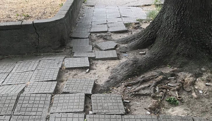 Жената се надява на промени, за да не казват и нейните деца, че помнят от Русе нагънатите тротоари и боклуците