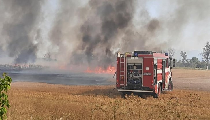 Екстремален индекс за пожароопасност е в сила за територии в 18 области в страната на 14 август