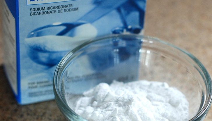 Само една женска хлебарка може да съсипе живота на цяла жилищна сграда