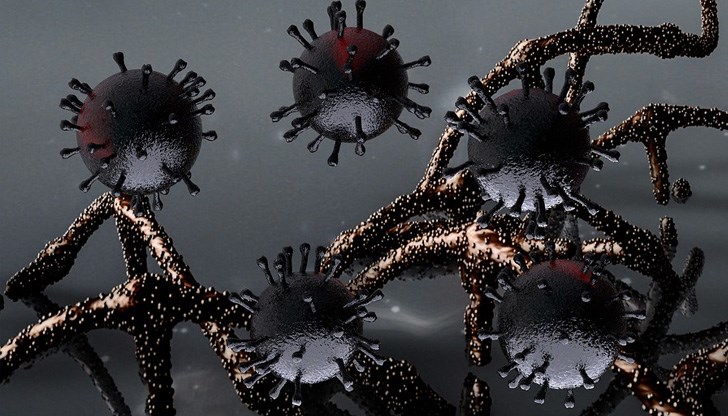 РЗИ-Русе ще изнесе подробна информация за новите случаи по-късно през деня РЗИ-Русе ще изнесе подробна информация за новите случаи по-късно през деня