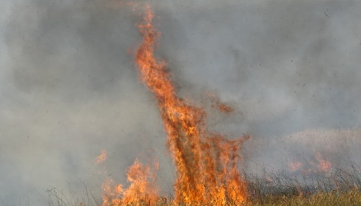 Огънят е овладян, но е унищожил 70% от овощна градина, каза кметът на града Василка Панайотова