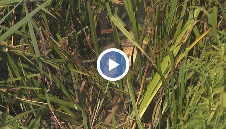 Трета година сигнализираме - отникъде никакви мерки, сподели рибар