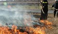 Лешникова градина и царевична нива са унищожени след пожар в Стърмен