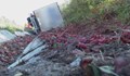 ТИР се преобърна и напълни част от магистрала "Хемус" с чушки