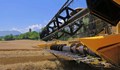 Хиляди земеделци са "надписали" декари за повече субсидии