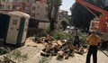 Община Русе: Изсичането на дървета заради строеж е законно, плаща се обезщетение
