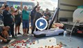 Протестиращи символично погребаха зеленчукопроизводството и животновъдството
