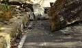Затвориха пътя между Кричим и Девин заради паднали скали