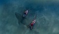 Австралиец почина след нападение от акула