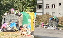 Боклукът в квартал "Дружба"