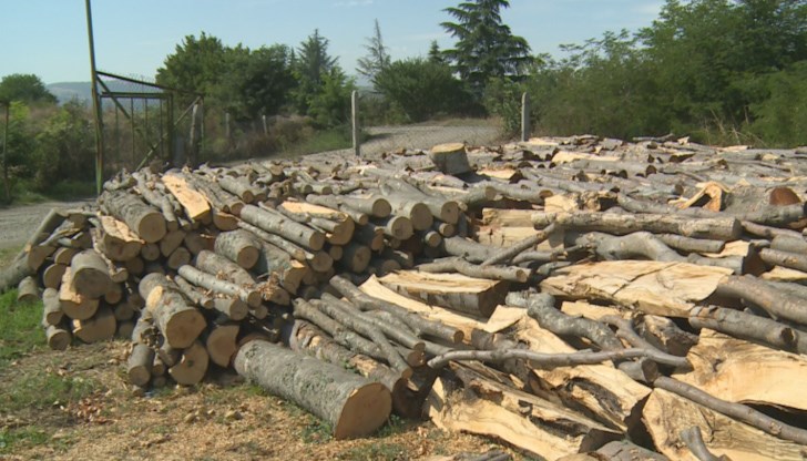 Цените на дървата не са увеличавани от 2 години, обясни Кирил Стойчев, началник склад на ДГС-Благоевград