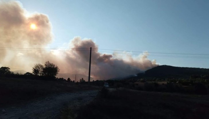 Площта на пожара е около 200 декара