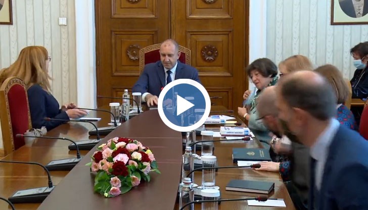 Гергана Стоянова говори пред президента