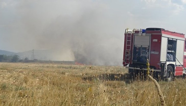 Гори местността Църнако Гори местността Църнако