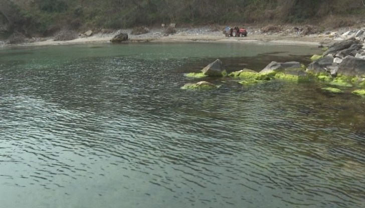 Той се гмурнал да лови риба с харпун, малко по-късно дъщеря му подала сигнал, че го няма