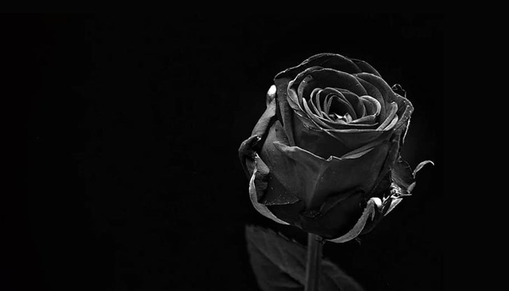 81 са новите случаи на Covid-19 в Русенско за изминалото денонощие