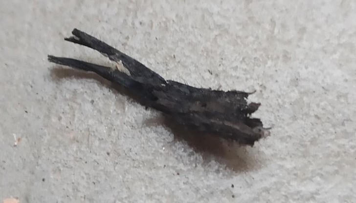 Всичко това е в дробовете ни!