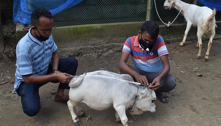 Рани е висока едва 50,80 сантиметра