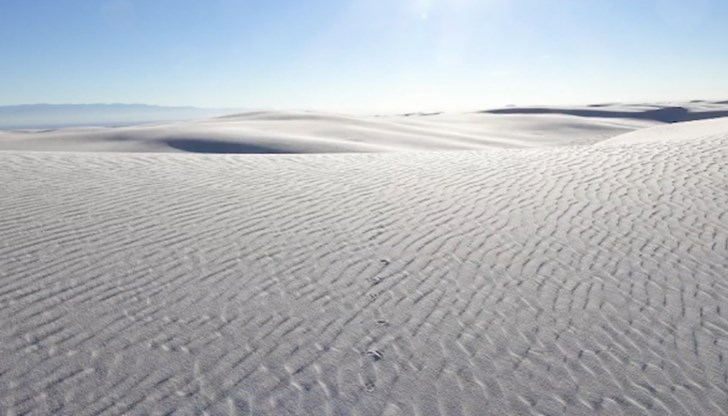 Това откритието може да промени виждането за първото заселване на континента