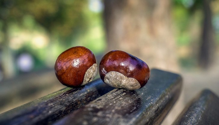 Къде ще вали? Къде ще вали?