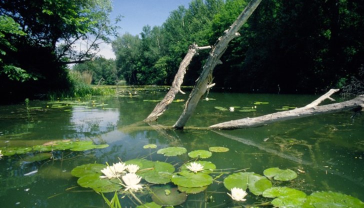 Предложени промени в нормативната уредба излагат на риск сладководното биоразнообразие и местните общности край реките Предложени промени в нормативната уредба излагат на риск сладководното биоразнообразие и местните общности край реките