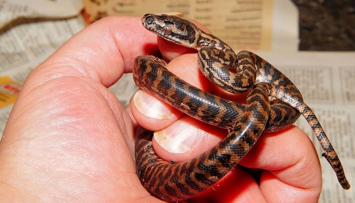 Заключението е на учени от университета на Бат