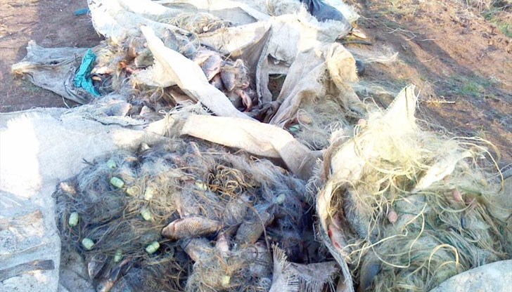 То си е някаква обществена тайна, че в езерото се въртят мрежи, сподели директор на Общинско предприятие "Спортни имоти" - Русе