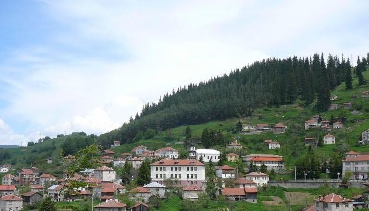 Факт е, че доста българи, които живеят в чужбина се върнаха в България