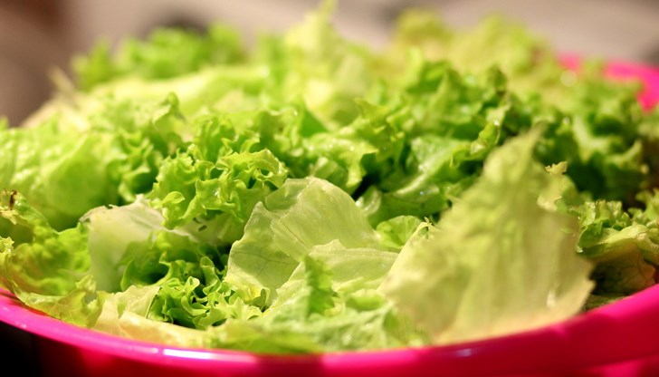 В хлоропластите, малките органи в растителните клетки, които спомагат за превръщането на слънчевата светлина в енергия, се вкарва същата мРНК, която съдържат ваксините