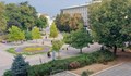 Общинските предприятия започват проект за обновяване на зелени площи