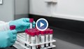 Наплив за изследване на антитела в Русе