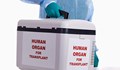 Над 1000 българи чакат за трансплантация на органи