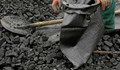 Русенци се оплакаха от двоен скок в цената на въглищата