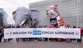 Циркове без диви животни искат природозащитници