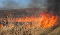 Ветовските огнеборци спасиха царевична нива и комбайн от пламъците