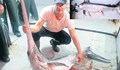 За пръв път от 50 години: Хванаха риба меч на Босфора