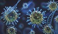 Изследване: Преболедуване на COVID-19 дава по-силен вторичен имунитет от ваксинация