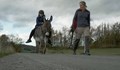 Момче в Норвегия се прибира от училище на магаре