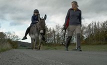 Момче в Норвегия се прибира от училище на магаре