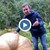 Отгледаха 500-килограмова тиква в Гърмен