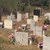 В останали без гробища села погребват починалите в дворовете си