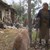 Незрящи сестри бедстват, след като къщата им изгоря от съседски фойерверки