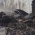 Взрив и пожар в руски завод уби 16 работници