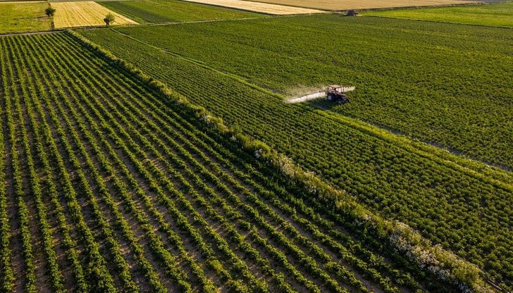 Тя е плюс 290.84% до 1153 лв/дка Тя е плюс 290.84% до 1153 лв/дка