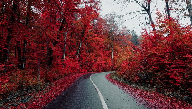 Месецът ще започне с ветровито време и със затопляне Месецът ще започне с ветровито време и със затопляне